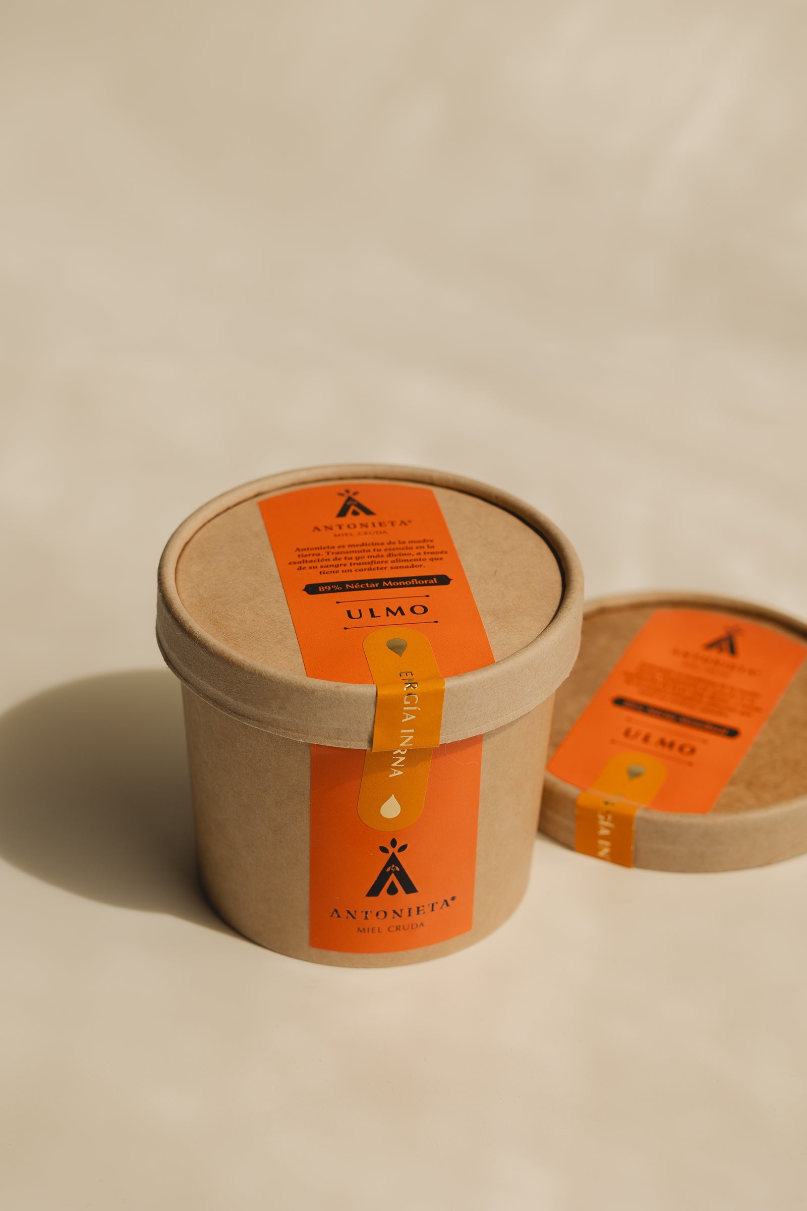 Miel de Ulmo | Reina - 550 g