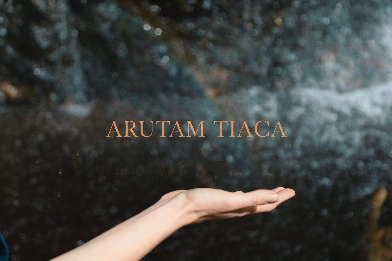 ARUTAM TIACA