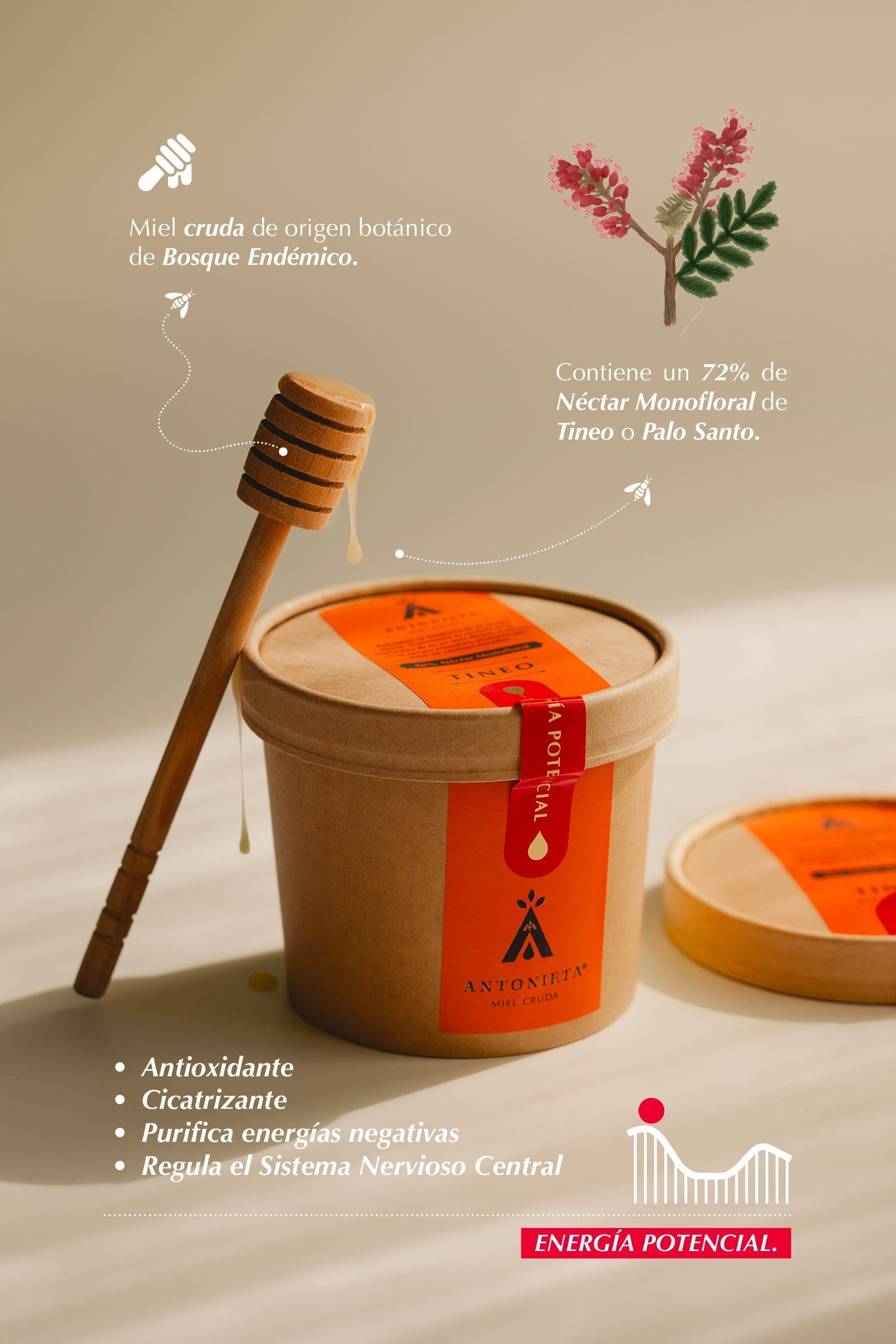 Tineo Honey