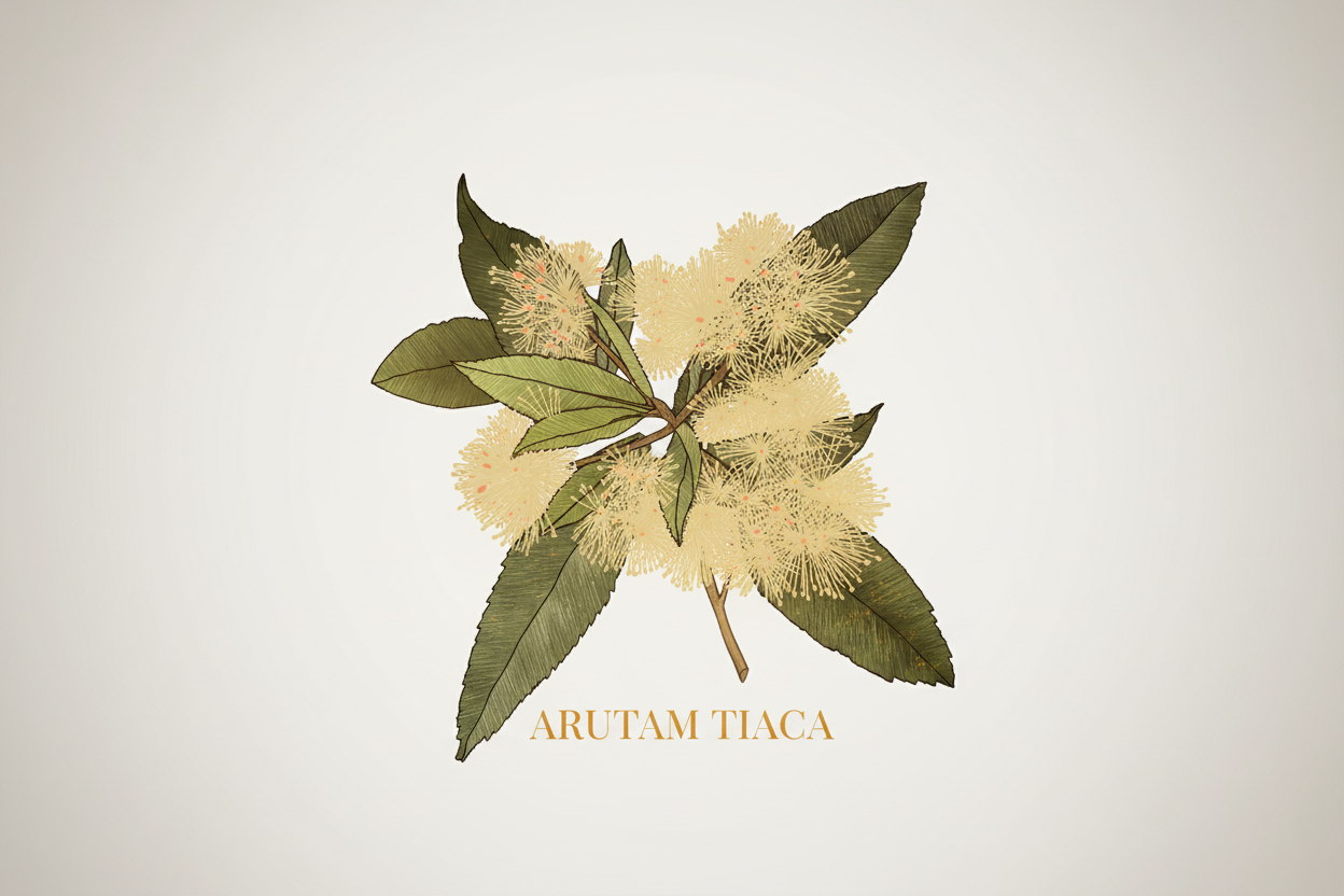 Tiaca
